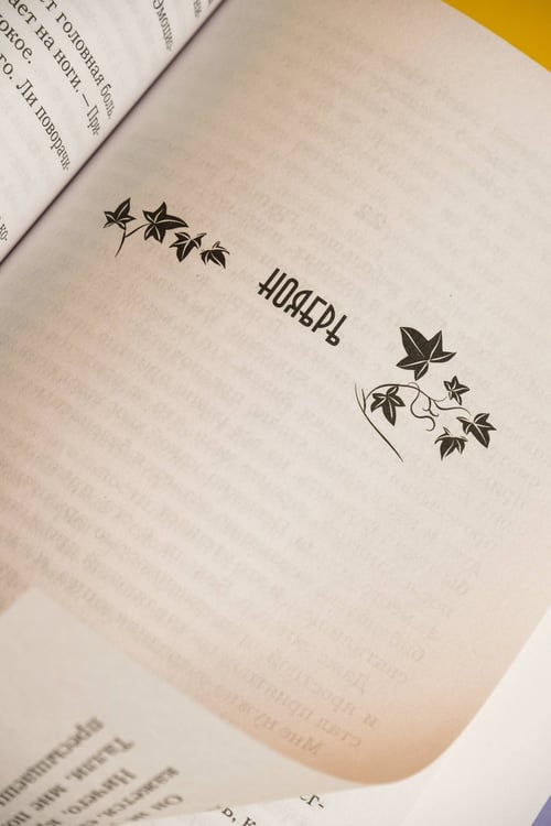 Дополнительное изображение книги «Девушка за границей»