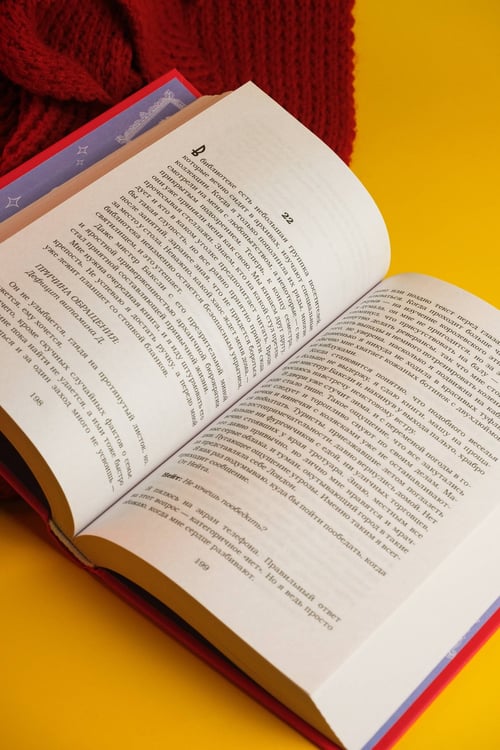 Дополнительное изображение книги «Девушка за границей»