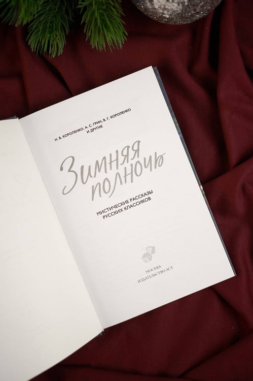 Дополнительное изображение книги «Зимняя полночь»