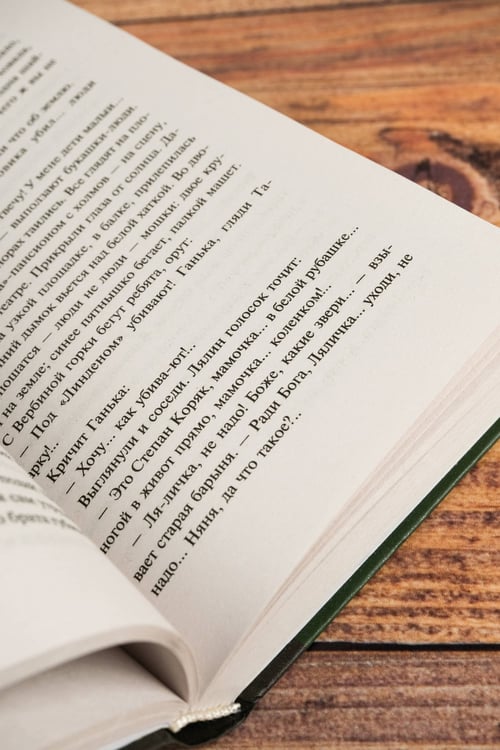 Дополнительное изображение книги «Солнце мертвых»
