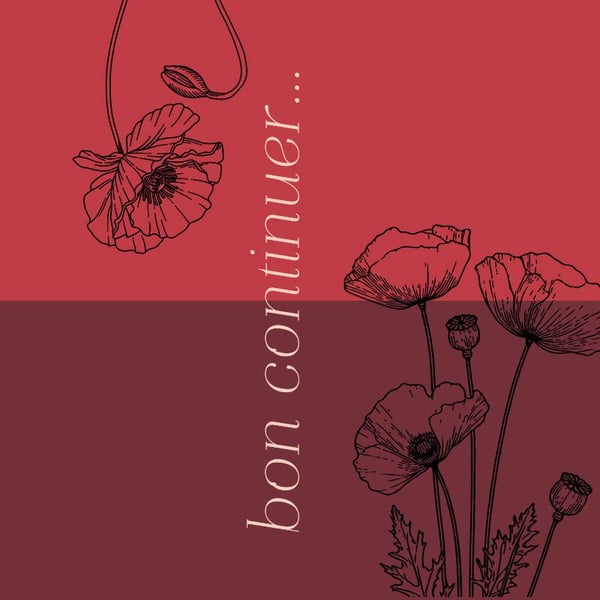 Дополнительное изображение книги «Bon continuer. Сборник стихотворений»