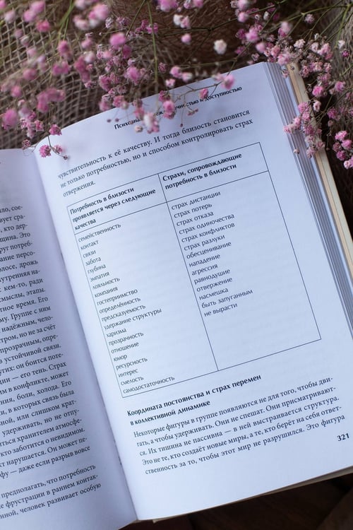 Дополнительное изображение книги «Между нами терапия. Исследование себя и ценности бессознательного»