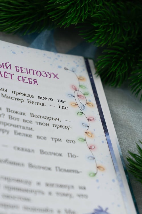 Дополнительное изображение книги «Мистер Белка и бешеный Бентозух»