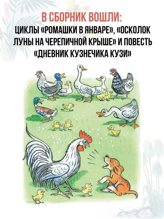Дополнительное изображение книги «Сказки. Рисунки В. Сутеева»