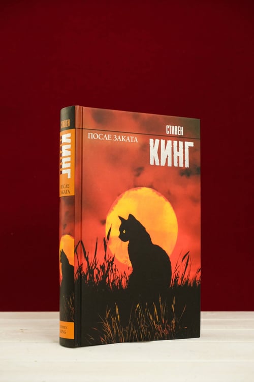 Дополнительное изображение книги «После заката»