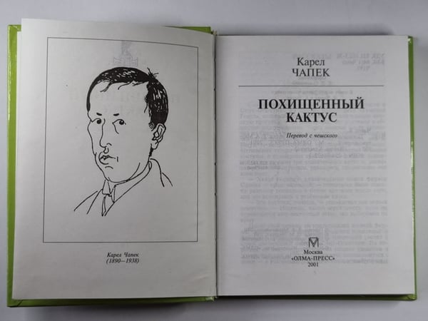 Дополнительное изображение книги «Похищенный кактус»