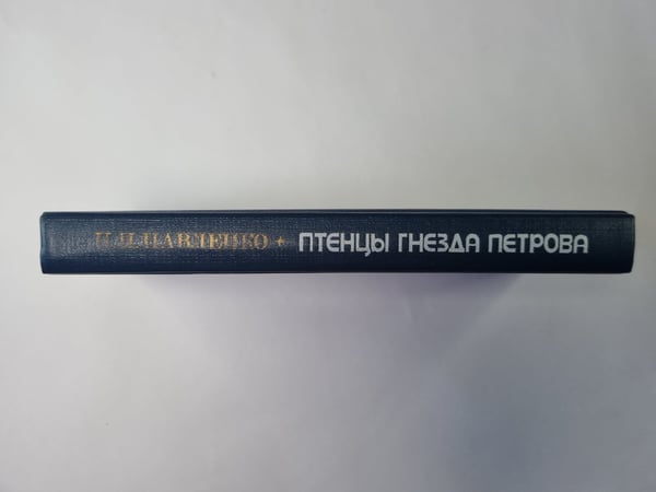 Дополнительное изображение книги «Птенцы гнезда Петрова»
