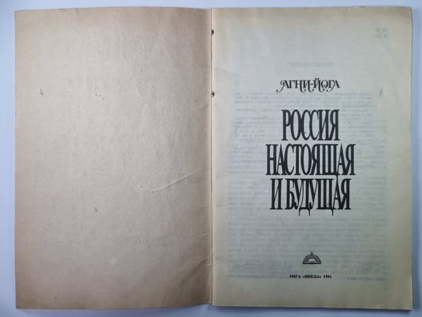 Дополнительное изображение книги «Россия настоящая и будущая»
