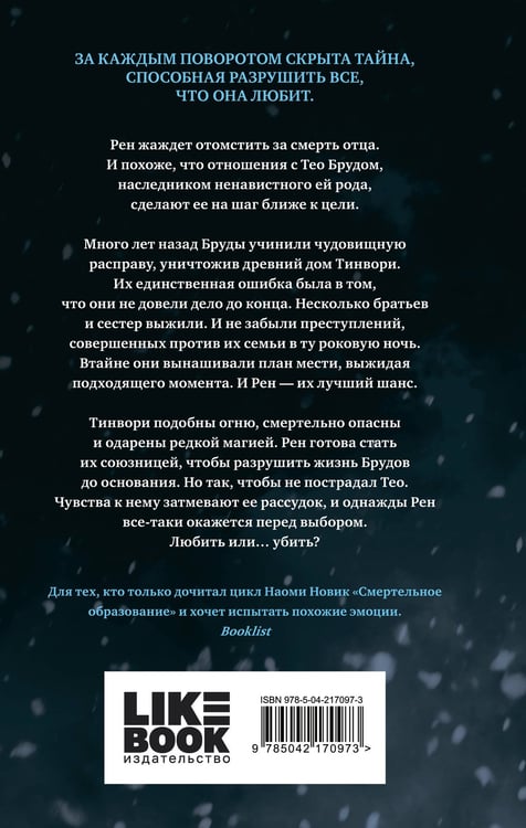Дополнительное изображение книги «Шепот в стенах»