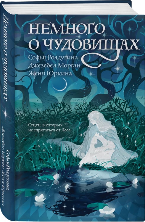 Дополнительное изображение книги «Немного о чудовищах»