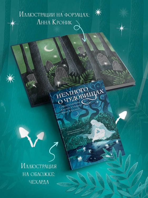 Дополнительное изображение книги «Немного о чудовищах»