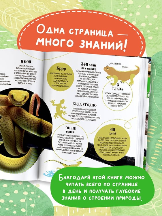 Дополнительное изображение книги «100 тысяч почему на каждый день. Природа»