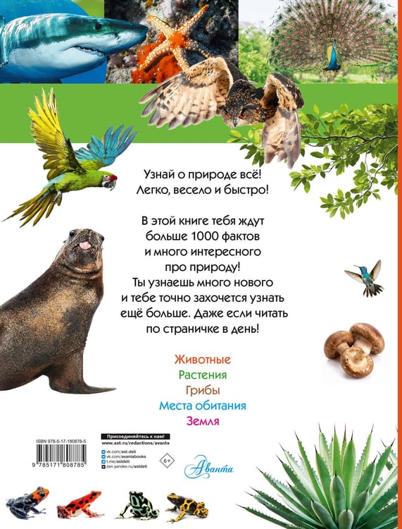 Дополнительное изображение книги «100 тысяч почему на каждый день. Природа»
