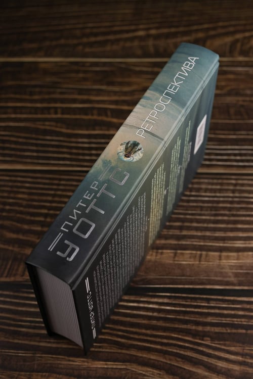 Дополнительное изображение книги «Ретроспектива»