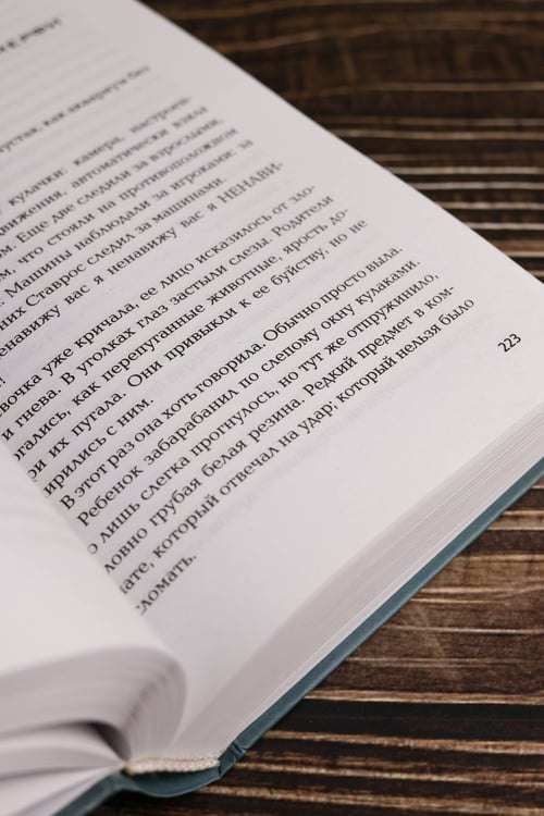 Дополнительное изображение книги «Ретроспектива»
