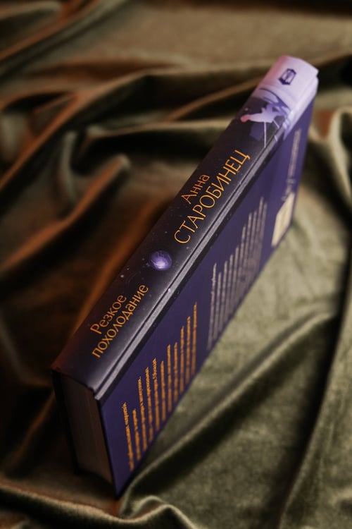 Дополнительное изображение книги «Резкое похолодание»