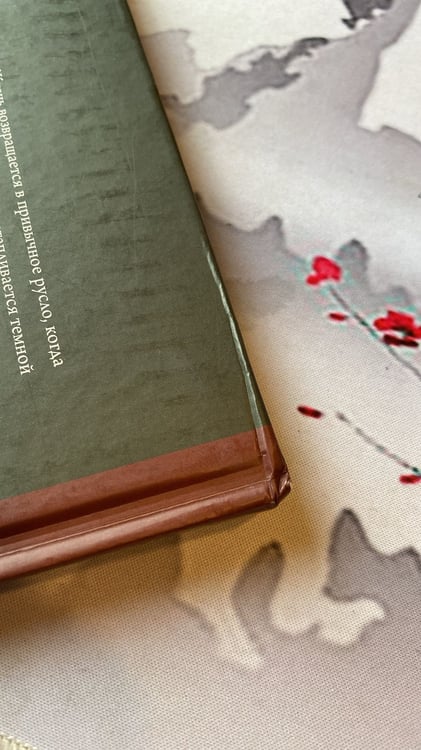 Дополнительное изображение книги «Вещи из потопа»