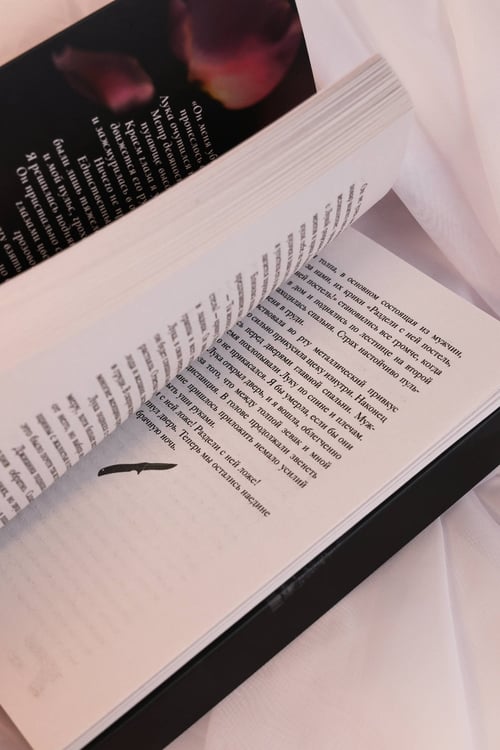 Дополнительное изображение книги «Связанные честью»