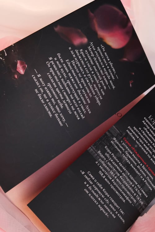 Дополнительное изображение книги «Связанные честью»