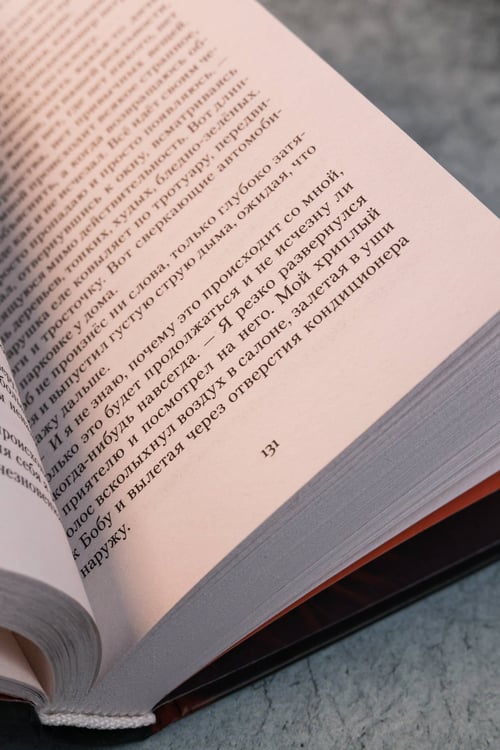 Дополнительное изображение книги «Умалишенный»