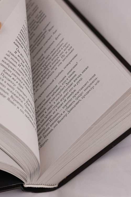 Дополнительное изображение книги «Фаталити. Цена его успеха»
