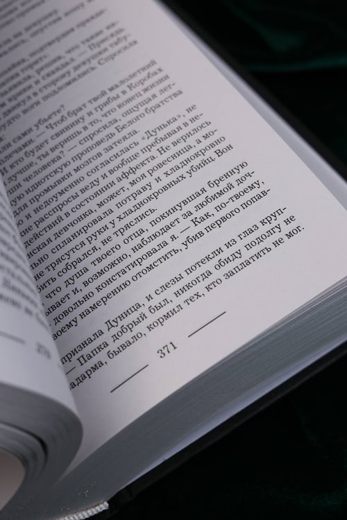 Дополнительное изображение книги «Рыжее братство»