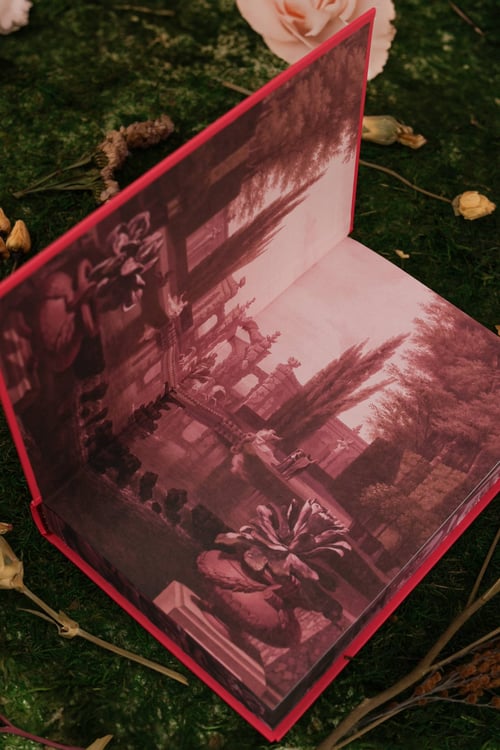 Дополнительное изображение книги «Мой темный принц. Специальное издание»