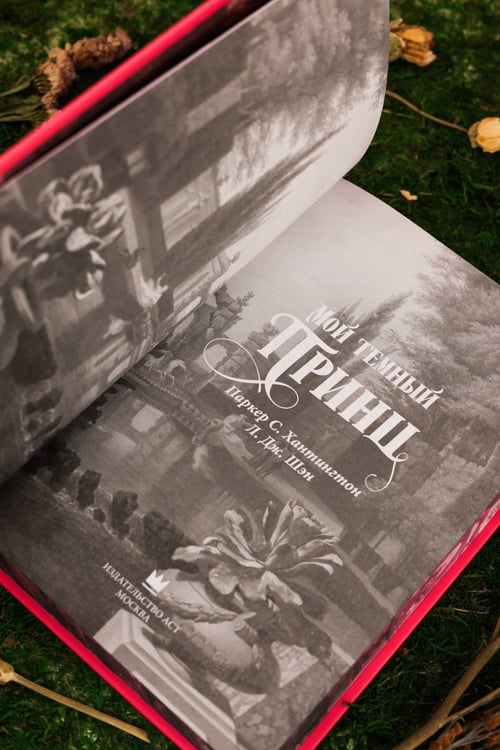 Дополнительное изображение книги «Мой темный принц. Специальное издание»