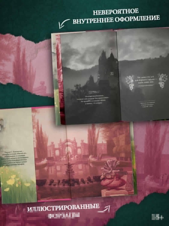 Дополнительное изображение книги «Мой темный принц. Специальное издание»