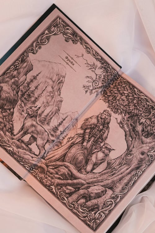 Дополнительное изображение книги «Берегини»