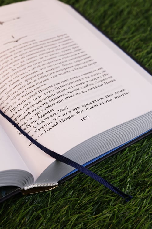 Дополнительное изображение книги «Пенрик и Дездемона. Книга 2»