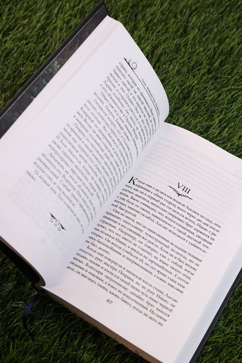 Дополнительное изображение книги «Пенрик и Дездемона. Книга 2»