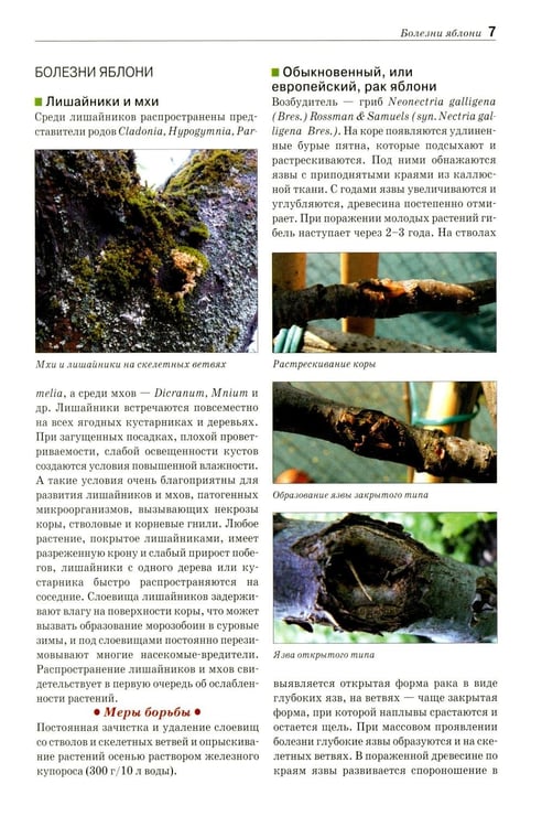 Дополнительное изображение книги «Болезни и вредители плодовых растений: Атлас-определитель. 3-е изд., испр.и доп»