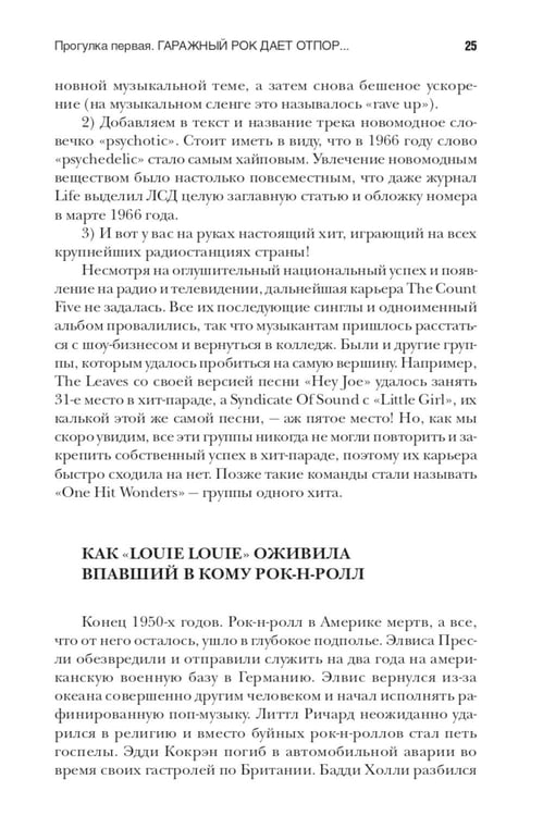 Дополнительное изображение книги «Панк-рок. Предыстория. Прогулки по дикой стороне: от гаражного рока до Игги Попа»