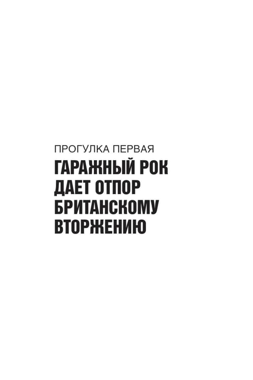 Дополнительное изображение книги «Панк-рок. Предыстория. Прогулки по дикой стороне: от гаражного рока до Игги Попа»