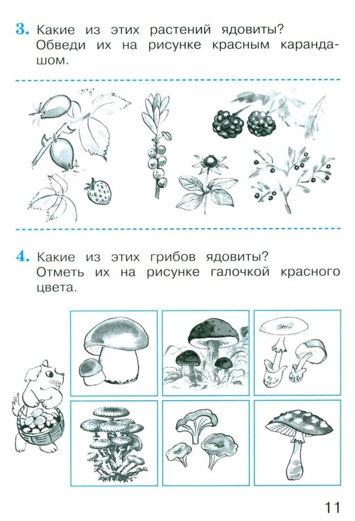 Дополнительное изображение книги «Окружающий мир. 2 кл. В 2 ч. Ч. 2. Тетрадь для тренировки и самопроверки. 14-е изд., стер»