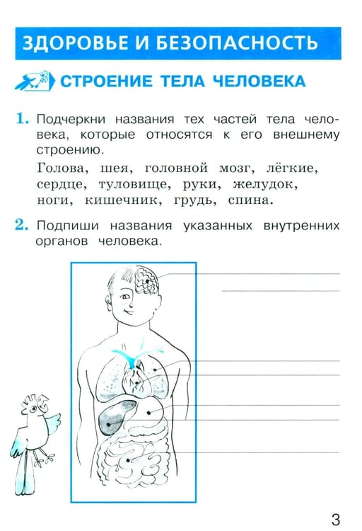Дополнительное изображение книги «Окружающий мир. 2 кл. В 2 ч. Ч. 2. Тетрадь для тренировки и самопроверки. 14-е изд., стер»