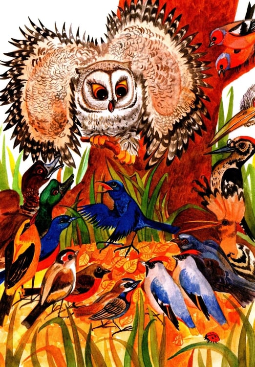 Дополнительное изображение книги «Удэгейские сказки»