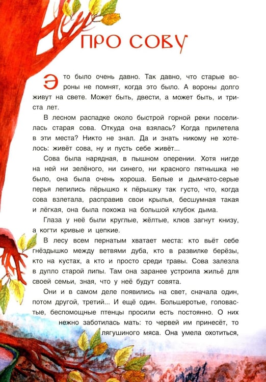 Дополнительное изображение книги «Удэгейские сказки»