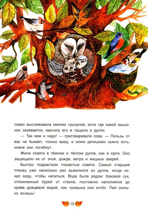 Дополнительное изображение книги «Удэгейские сказки»