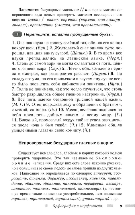 Дополнительное изображение книги «Практический русский язык. Орфография и морфология. Синтаксис и пунктуация»