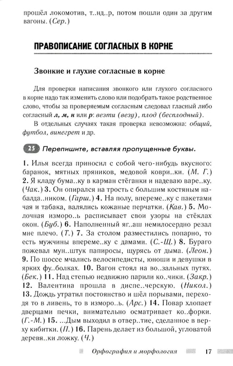 Дополнительное изображение книги «Практический русский язык. Орфография и морфология. Синтаксис и пунктуация»