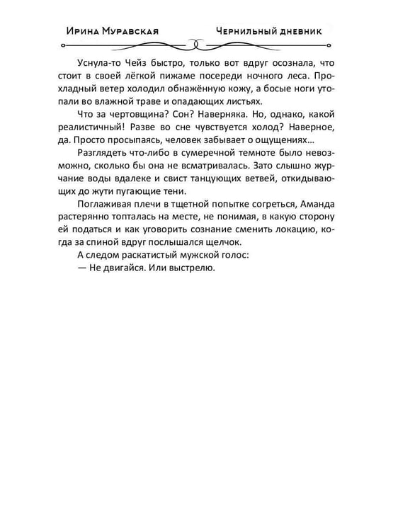Дополнительное изображение книги «Чернильный дневник»