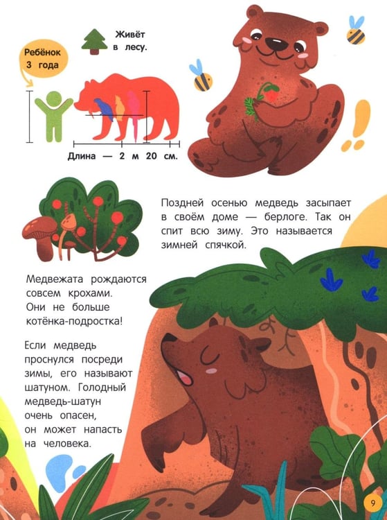 Дополнительное изображение книги «Мир животных: загадки природы глазами детей»