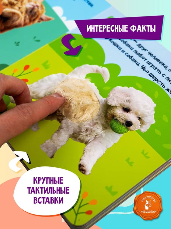 Дополнительное изображение книги «Мои питомцы»