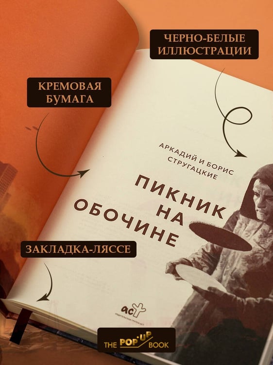 Дополнительное изображение книги «Пикник на обочине»
