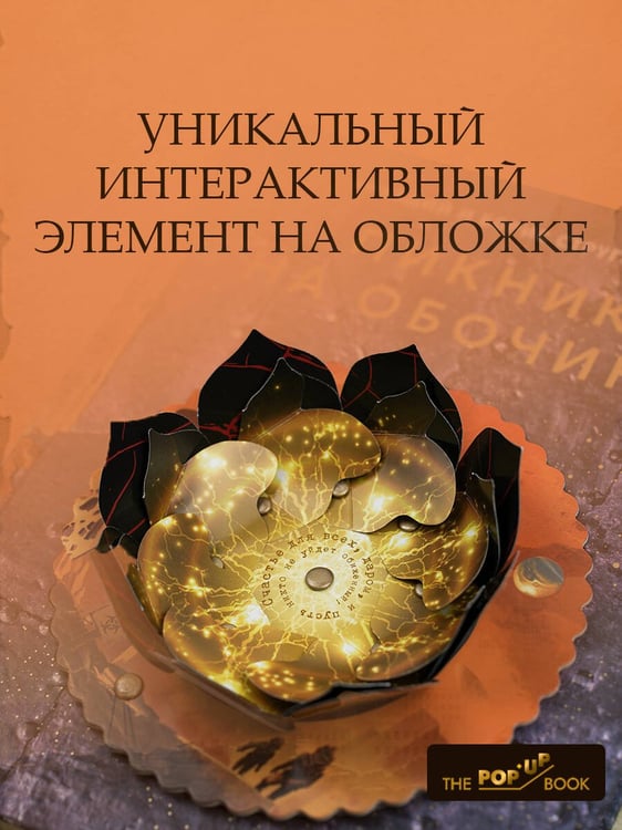 Дополнительное изображение книги «Пикник на обочине»