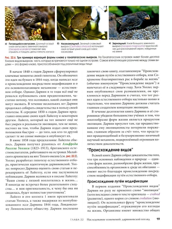 Дополнительное изображение книги «Биология Campbell. В 3 т. Т. 2. Механизмы эволюции. Эволюция и биоразнообразие. Растительные формы жизни»