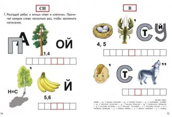 Дополнительное изображение книги «Непроизносимые согласные»