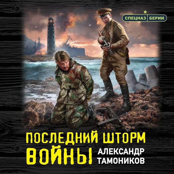 Дополнительное изображение книги «Последний шторм войны»